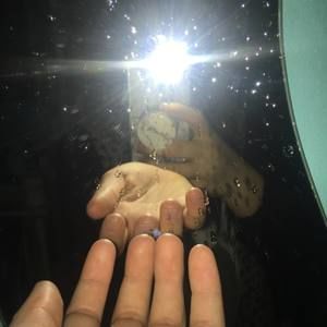 Meet your Posher, Alanah